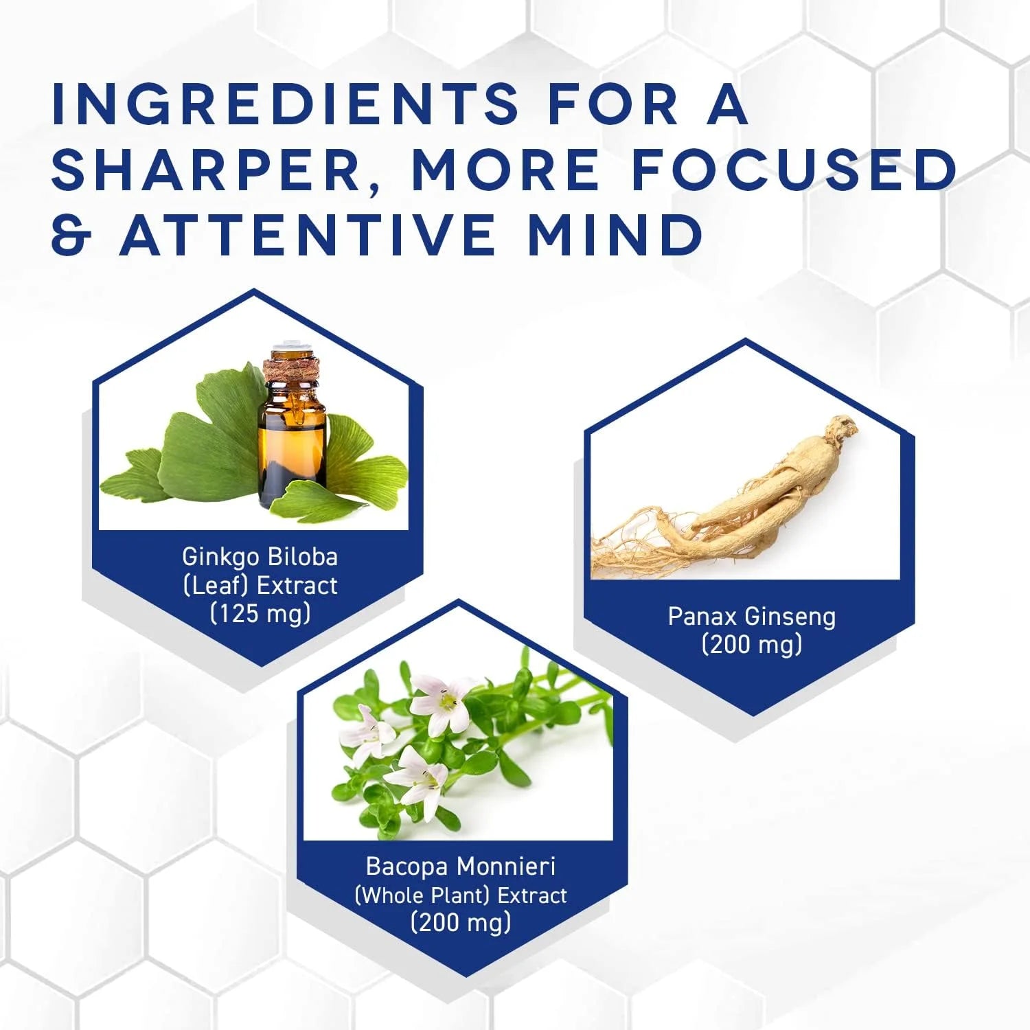 Ginkgo Biloba Supplements W/Panax Ginseng and Bacopa Monnieri - Focus Supplement for Mental Performance, Brain Health Supplements for Adults, 60 Ginkgo Biloba Capsules