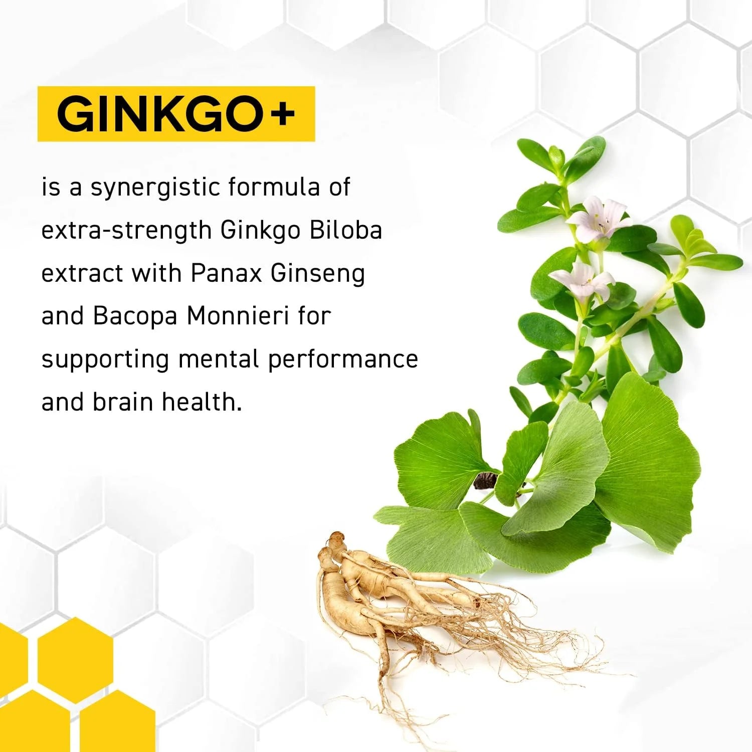 Ginkgo Biloba Supplements W/Panax Ginseng and Bacopa Monnieri - Focus Supplement for Mental Performance, Brain Health Supplements for Adults, 60 Ginkgo Biloba Capsules